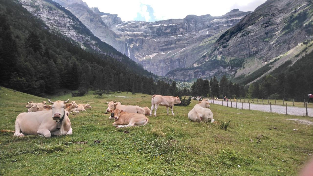 Studio En Pleine Montagne Avec Vue Sur Marmottes La Mongie Eksteriør bilde