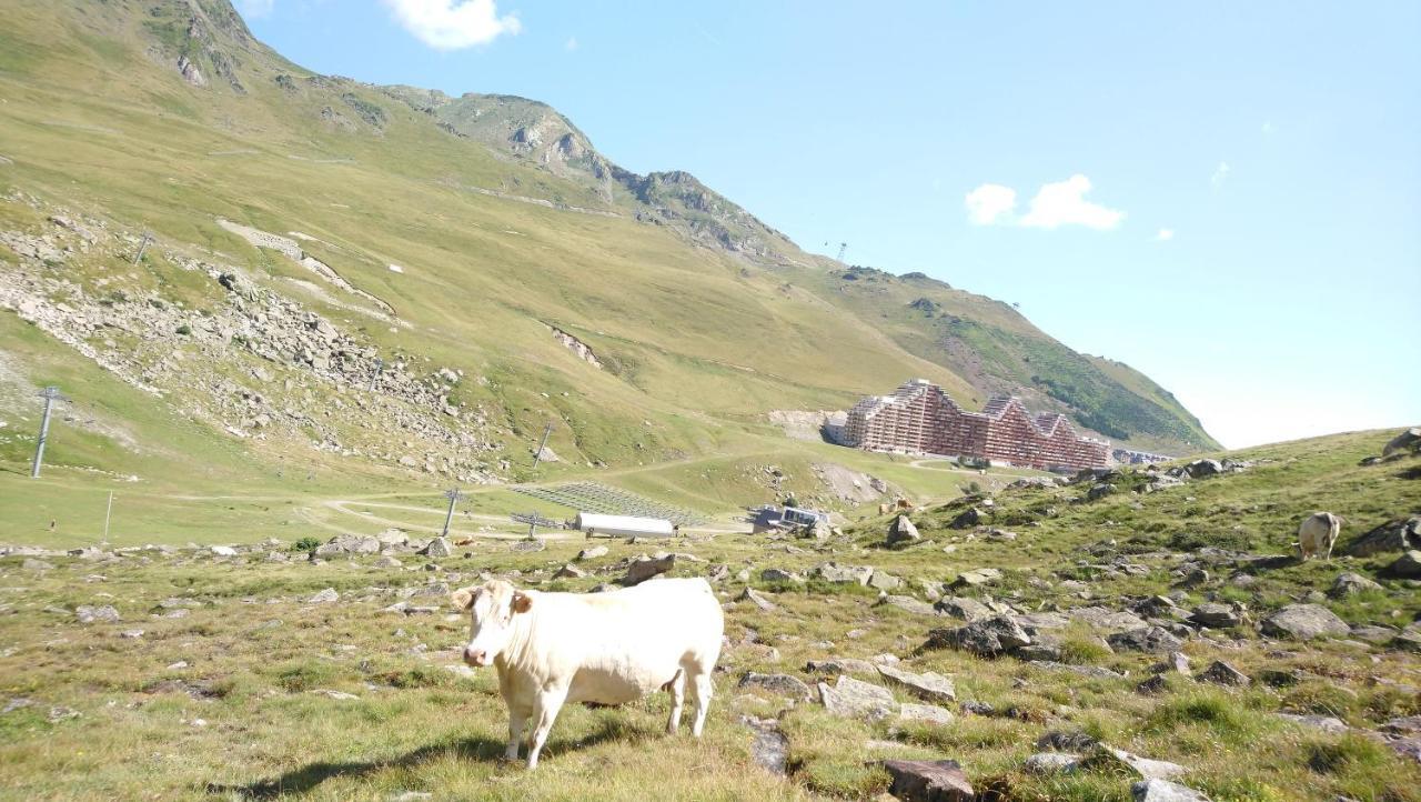Studio En Pleine Montagne Avec Vue Sur Marmottes La Mongie Eksteriør bilde